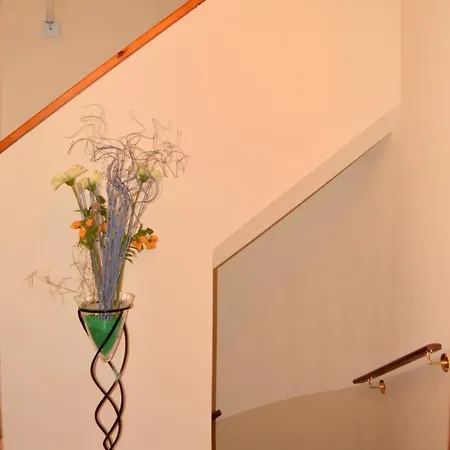 La Maison Jaune - House *